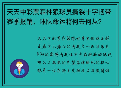 天天中彩票森林狼球员撕裂十字韧带赛季报销，球队命运将何去何从？