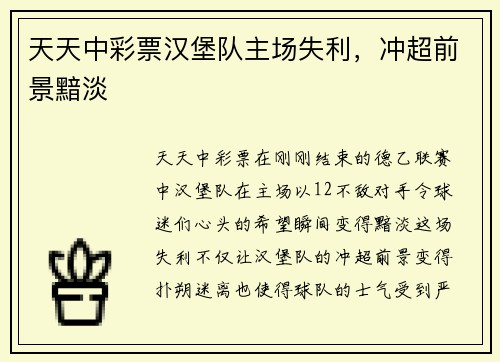 天天中彩票汉堡队主场失利，冲超前景黯淡